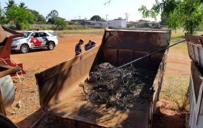 Casal é denunciado após relação amorosa à luz do dia