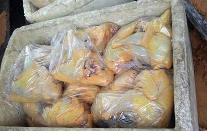 Trio é preso em Irapuru vendendo frangos impróprios para consumo
