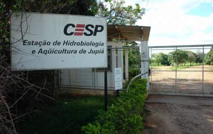 Castilho perdeu a estação de piscicultura que fechou após concessão aos chineses