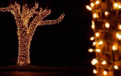 Luzes de Natal: é possível decorar  com economia de energia e segurança