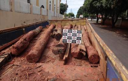 Polícia Civil prende quadrilha por furtar propriedade rural em Tupi Paulista