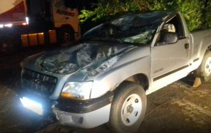 Motorista capota S10 carregada com de mudas