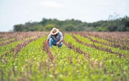 Produtores Rurais tem até o dia 31 de março para entregar DIPAM