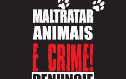Homem mata cachorro com enxada em Lins