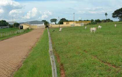 Better Beff prepara reaberturade frigorífico em Andradina