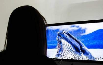 Jogo da Baleia Azul faz vítima na região de Araçatuba