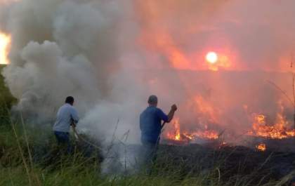 Incêndio em pastagem de Castilho mobiliza bombeiros e brigadas