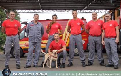 ADOTADO: Bombeiros salvam cão que foi abandonado amarrado dentro de saco