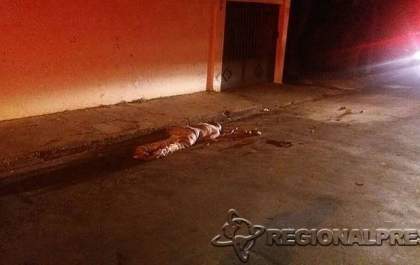 Homem é assassinado a pauladas e pedradas em Araçatuba