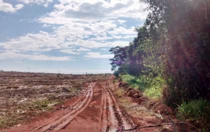 Polícia Ambiental elabora auto de infração em mais de R$ 42 mil por uso de fogo em plantio de cana-de-açúcar