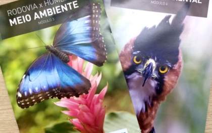 Meio Ambiente 2017 ViaRondon