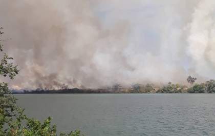 Novo incêndio consome Ilha Comprida, em Castilho