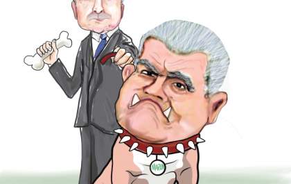 Marun fiel
