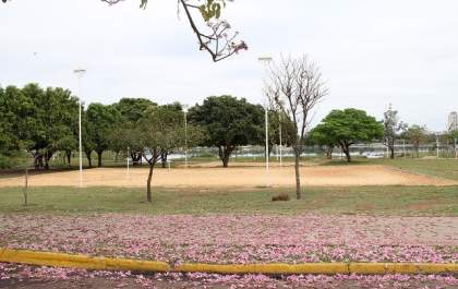 Vera Helena pede bebedouro na Lagoa e guarda na feira noturna