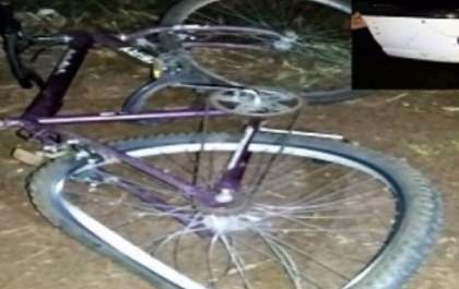 Motorista que atropelou e matou lavrador se apresenta à Polícia