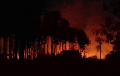 Incêndio em vegetação de Castilho é combatido por 14 horas