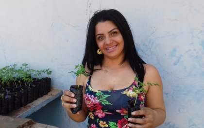 Castilho incentiva plantio de Moringa conhecida como “árvore da vida”