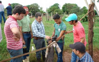 Oportunidade de trabalho para professores na Escola Agrícola - Etec