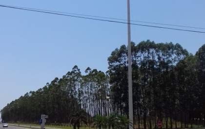 Bandeira do Brasil desapareceu da entrada do Friboi