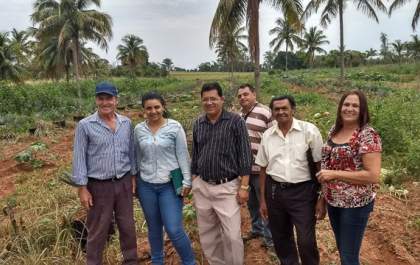Da teoria a prática, curso ensina técnicas para cultivar amora gigante