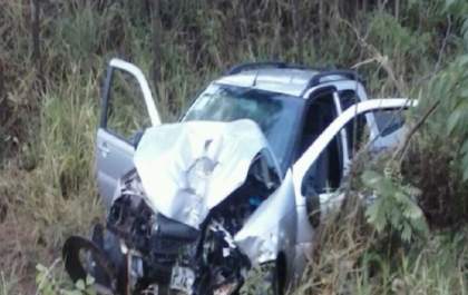 Tamanduá na pista provoca grave acidente em vicinal