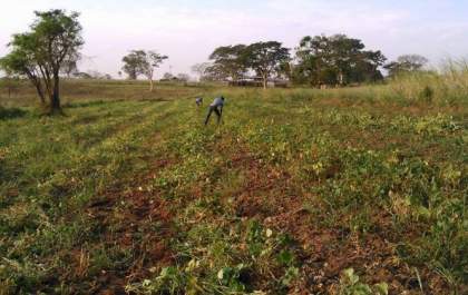 Agroecologia será tema de formação aberta amanhã e depois na Etec de Andradina