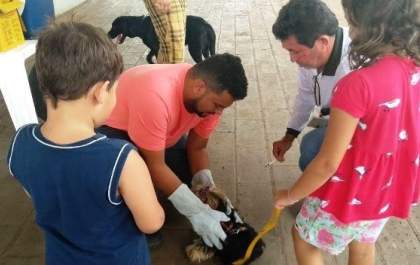 Equipes voltam a vacinar cães e gatos neste sábado