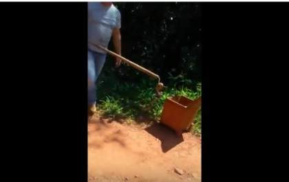VÍDEO: PMA captura filhote de sucuri em indústria e solta à margem de córrego