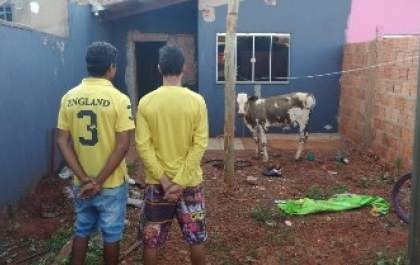 Dupla furta bezerro para fazer churrasco e comemorar título do Corinthians
