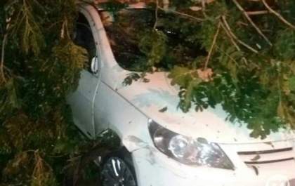 Chuva acumulou 31 mm na Capital, destelhou casa e derrubou árvores sobre carros