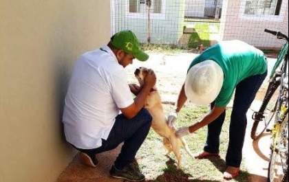 Equipes da Saúde estarão na feira de sábado vacinando cães e gatos