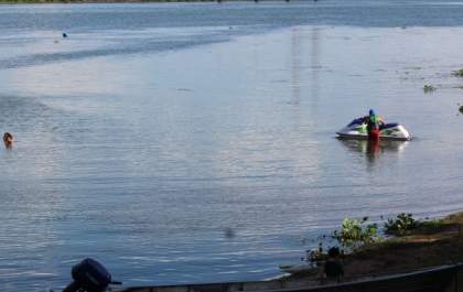 Algas no rio Paraná aceleram processo de destruição