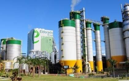 Eldorado Brasil anuncia novo presidente