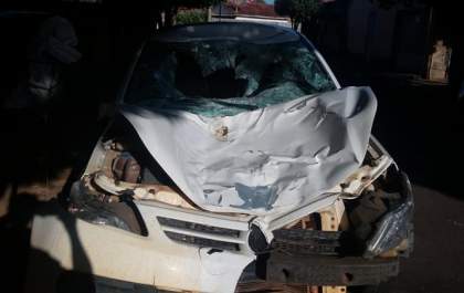Motorista atropela e mata cavalo solto na pista de Castilho