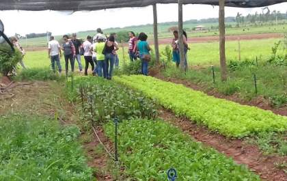 As agriculturas orgânica e agroflorestal ampliam adesões entre os pequenos