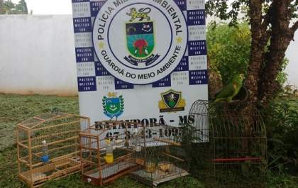 Homem que mantinha animais em cativeiro é autuado pela PMA