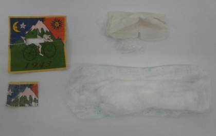 Mulher tenta entrar em presídio com LSD em absorvente íntimo, mas acaba flagrada durante revista