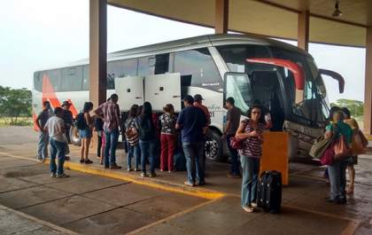 Confira as regras para quem vai viajar com seu pet nos ônibus intermunicipais