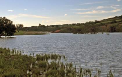 Homem morre após pular de cabeça em lagoa de assentamento