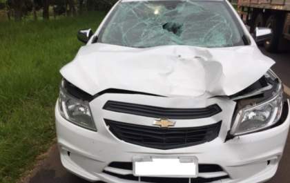 Homem de 33 anos morre atropelado por idoso em rodovia