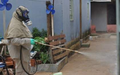 Leishmaniose matou o dobro que a dengue em 2017, aponta boletim