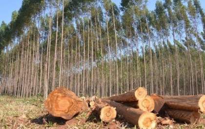 Estado contratou R$ 2,2 bilhões do FCO nos setores rural e empresarial