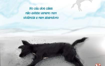 Cães envenenados em roubo