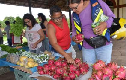 Com um mês de funcionamento, agricultores do “Mini Ceasa” comemoram