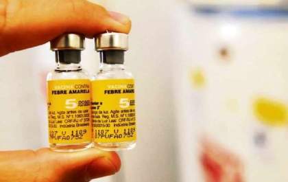 “Não há motivo para pânico”, diz Vigilância sobre febre amarela em MS