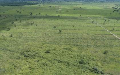 Dois são multados em R$ 279 mil por desmatar 271 hectares de fazendas