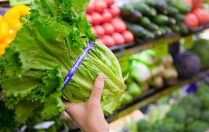Orgânicos: Alimentos que fazem bem à saúde e são mais saborosos