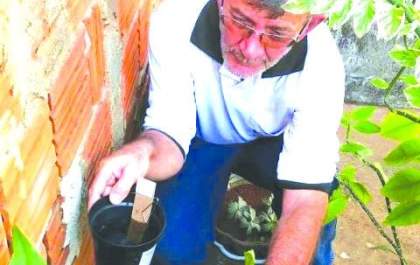 Índice de infestação do Aedes Aegypti se mantém satisfatório no Município