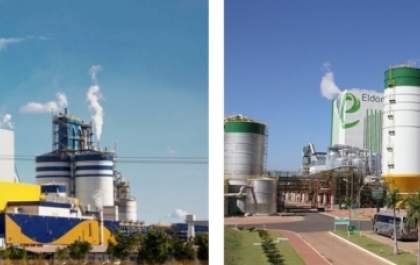Fibria recebe proposta para se unir à Eldorado Brasil