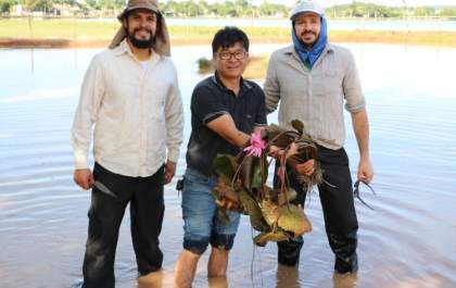 Meio Ambiente inicia plantio de mudas do Jardim Aquático na Lagoa Maior